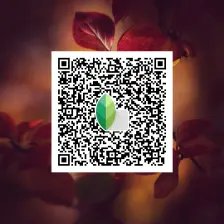 Snapseed QR Codes for Stunning DSLR Edits